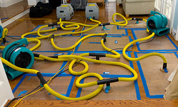 Professional Crawl Space Water Removal technician working in American Canyon, CA